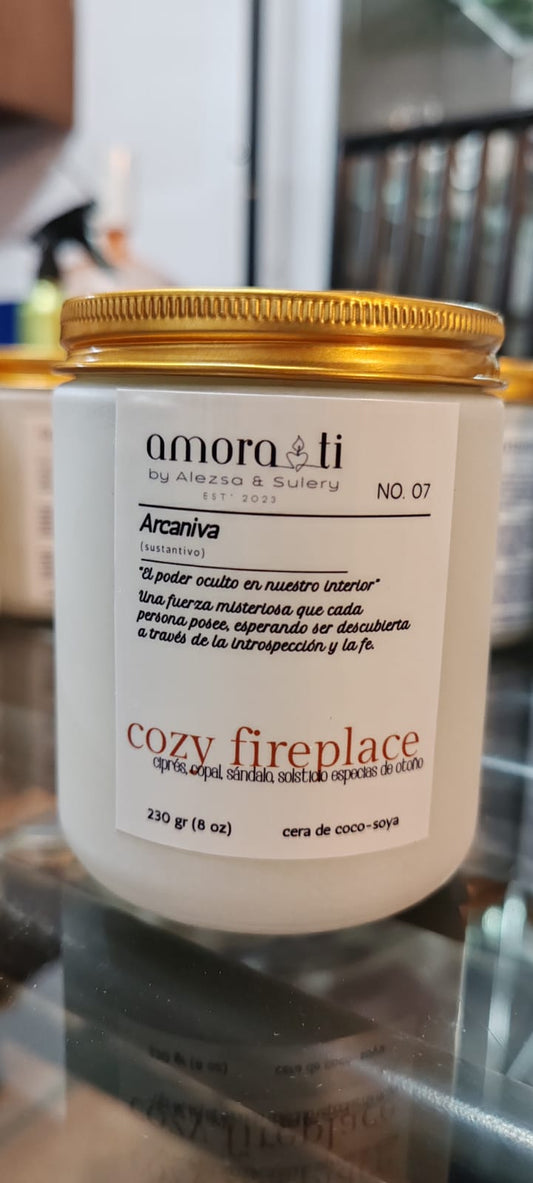 No. 7 COZY FIREPLACE