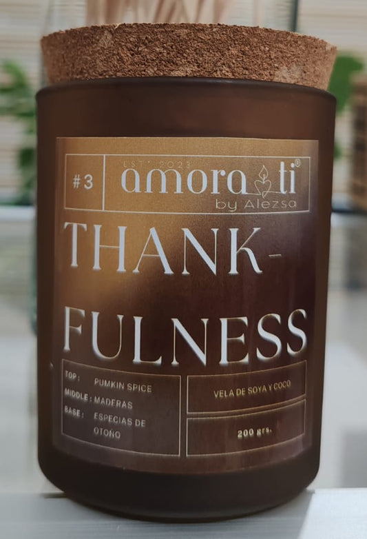 3-Thankfulness Vela y Ceras para derretir