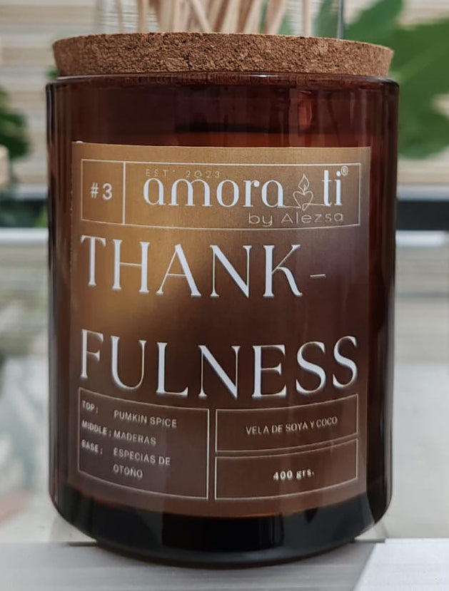 3-Thankfulness Vela y Ceras para derretir