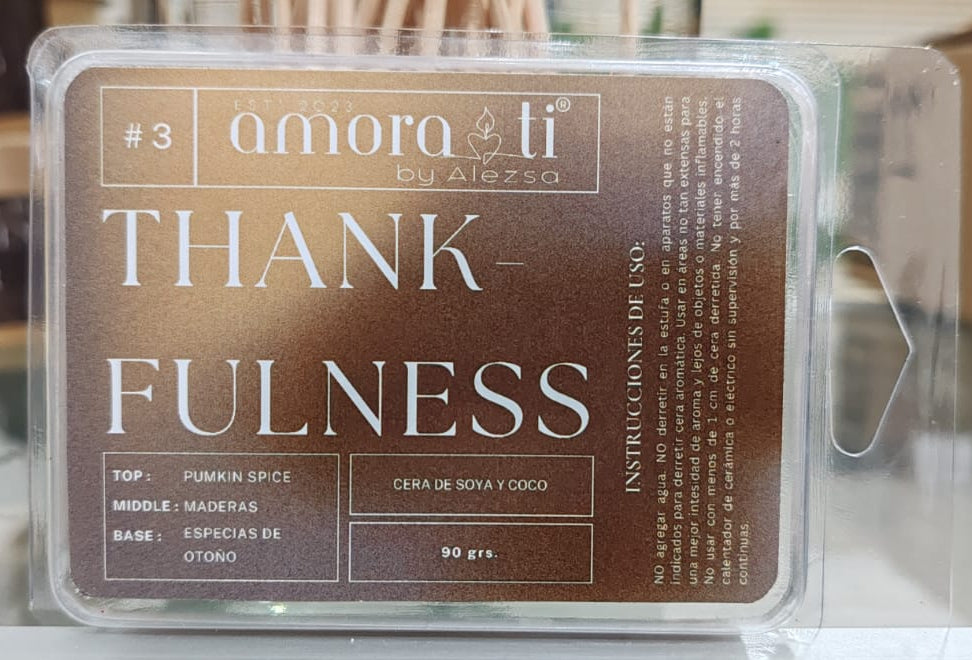 3-Thankfulness Vela y Ceras para derretir