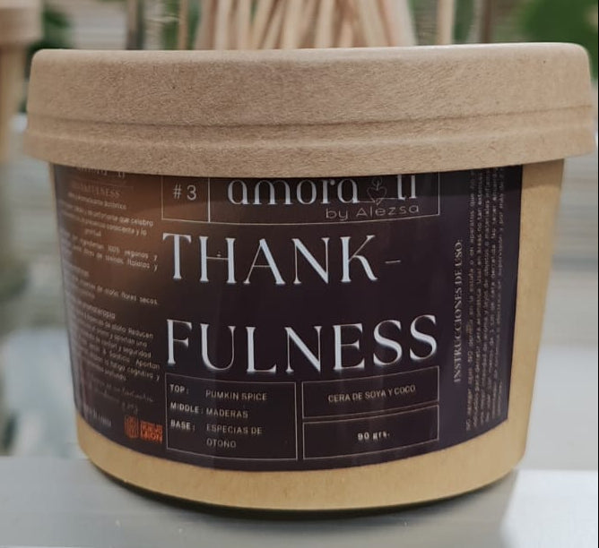 3-Thankfulness Vela y Ceras para derretir